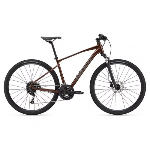 GIANT ROAM 2 DISC GIANT ROAM 2 DISC